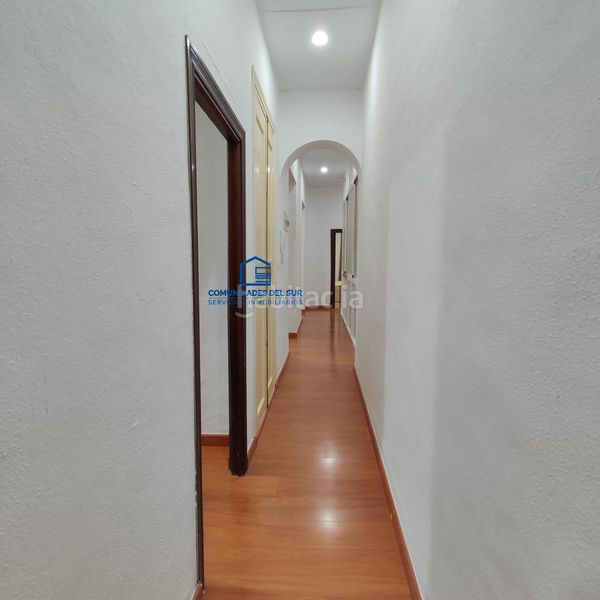 Foto 0207c2fe-c965-4e83-9bf8-cec957949358. Pis a Alameda - Mentidero - Teatro Falla Cádiz