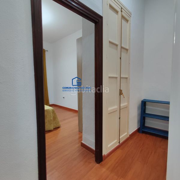 Foto 150dcbde-9f15-4b7a-b161-8f6ad3a95e54. Pis a Alameda - Mentidero - Teatro Falla Cádiz