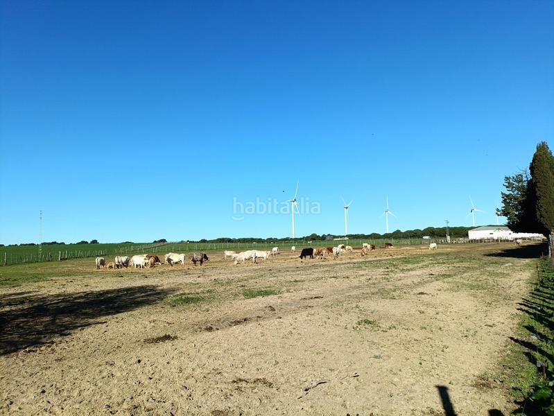 Foto 27afb68c-a5cd-4de5-b5f9-b98efd1b99a6. Casale in Villanueva Golf Puerto Real