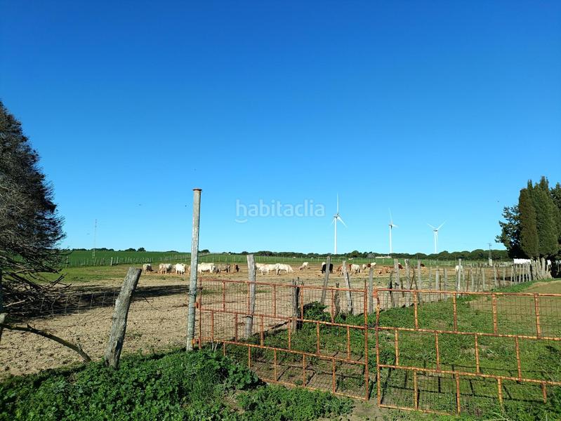 Foto 3a162999-9f46-4e2e-9b06-e1cce61b2fac. Casale in Villanueva Golf Puerto Real