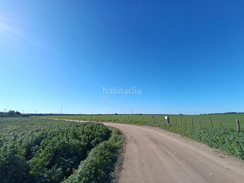 Foto 4d835bc8-5cd8-4570-a842-6cb730edd5fe. Casale in Villanueva Golf Puerto Real