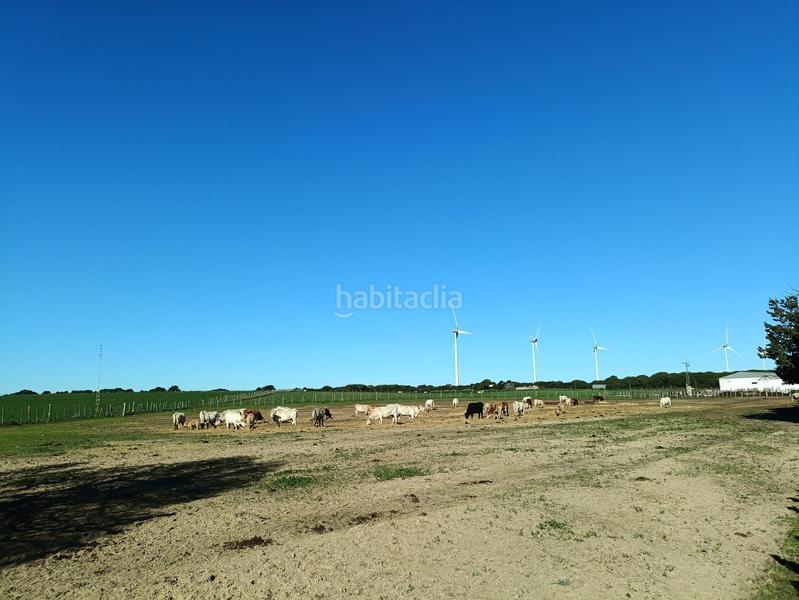 Foto 9016889f-1ba5-4873-a8ae-84e948b742c0. Casale in Villanueva Golf Puerto Real