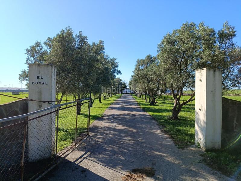 Foto af21cbc0-52a9-4914-8b56-3a09cd09856a. Casale in Villanueva Golf Puerto Real