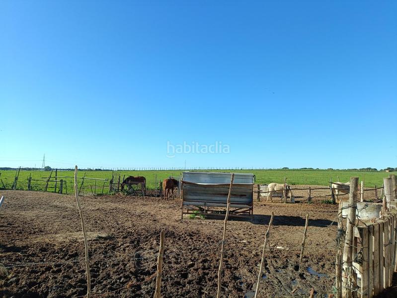 Foto b34475d2-181e-450d-8de5-14bbc0415c83. Casale in Villanueva Golf Puerto Real