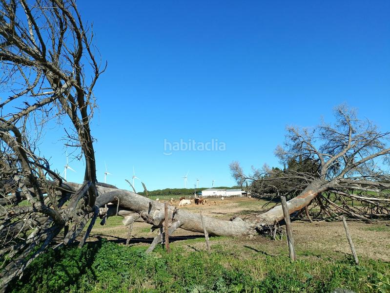 Foto c2957288-4c2b-4e37-bf64-3cf15e65be75. Casale in Villanueva Golf Puerto Real