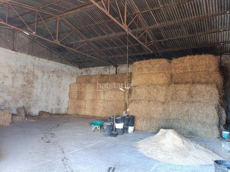 Foto c612fce4-8bac-49b9-9e27-62ebf6b8f5b3. Casale in Villanueva Golf Puerto Real