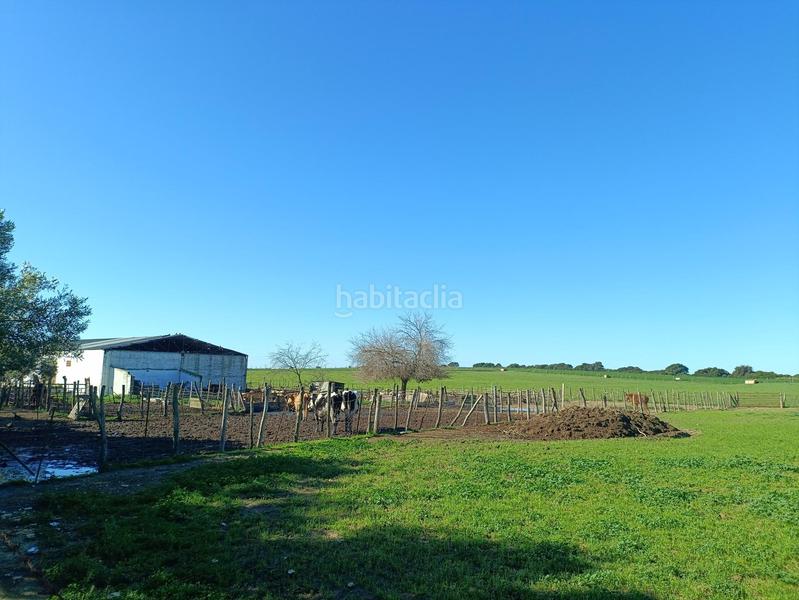 Foto d794fb4f-572c-4d82-9640-7ffa8f2b50b0. Casale in Villanueva Golf Puerto Real