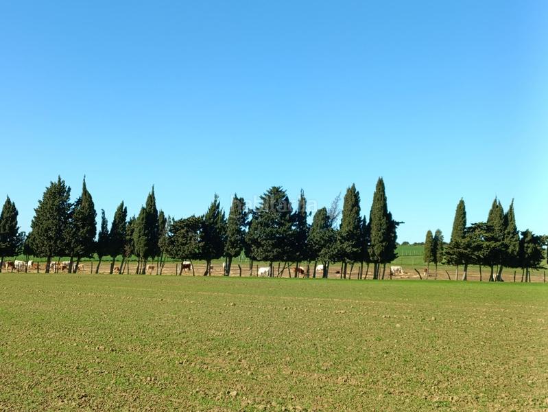 Foto dcc17d27-a7dd-4b81-94fe-72d6a95d2a0d. Casale in Villanueva Golf Puerto Real