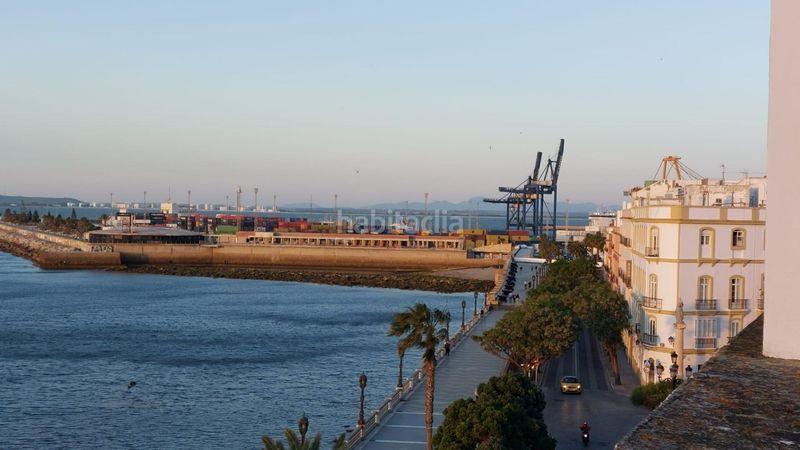 Foto ab3ccbb5-9e35-4f25-b86c-2e1237bcd990. Pis a Alameda - Mentidero - Teatro Falla Cádiz