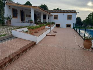 Masia a Arcos de la Frontera. Oportunidad única! espectacular finca rústica en arcos de la fro