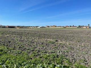Masia a Carretera de Sanlúcar - Sudamérica. Finca rústica zona dos palmeras el puerto de santa maría