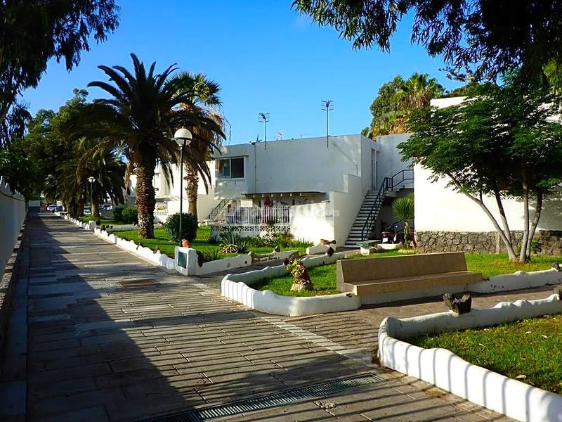 Foto d788f6fb-80ac-43cb-8cb3-25cebf187446. Alquiler estudio se alquila en Costa del Silencio estudio en Arona