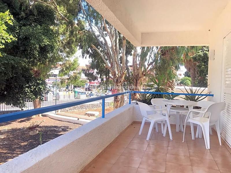 Foto 500f69fe-c60d-46e0-ae21-5ce30cd6f068. Location appartement avec piscine dans Costa del Silencio Arona