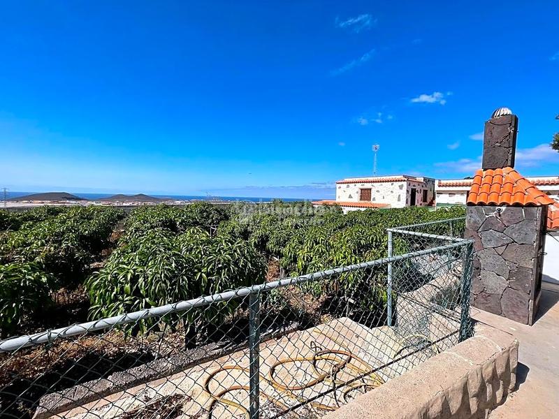 Foto 1319ea4c-0fdc-4a80-a69a-95c9cffe2f4f. Casa con piscina in Cho - Parque de la Reina Arona