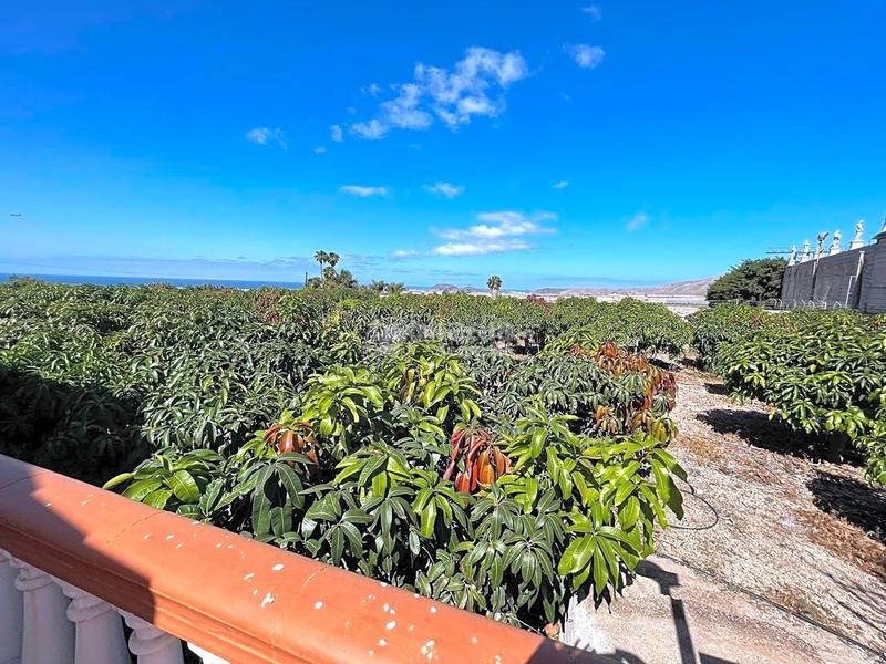 Foto dca99b18-4b51-47ff-bc74-022469c48c0e. Casa con piscina in Cho - Parque de la Reina Arona