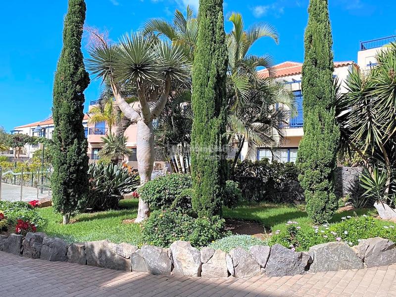 Foto 795522fc-521f-4e5e-819b-ffbf3b1b79f2. Location maison jumelée avec parking piscine dans Palm - Mar Arona