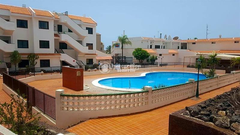 Foto 33528005-926e-429f-9d79-5eed3f91a8ef. Location appartement avec piscine dans Costa del Silencio Arona