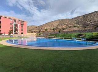 Alquiler Apartamento  Jilguero. Se alquila en el palm mar vivienda de 1 dormitorio