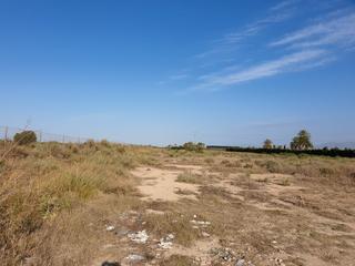 Finca rstica en N/a. Parcela 8307 m2 - la marina - ideal mobil home -distancia a la p