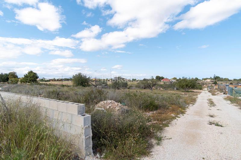 Foto 01a6956b-20fd-4637-a05d-d5eed1fb9acb. Propriété dans lugar perleta poligono 2 2113 dans Perleta - Maitino Elche / Elx