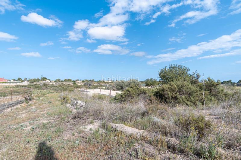 Foto 763a4d8e-6693-4942-afd1-33b7bcb25951. Propriété dans lugar perleta poligono 2 2113 dans Perleta - Maitino Elche / Elx