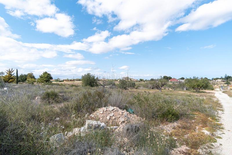 Foto 7e0fe810-0a01-4256-b6f4-5b13ea60f7a5. Propriété dans lugar perleta poligono 2 2113 dans Perleta - Maitino Elche / Elx