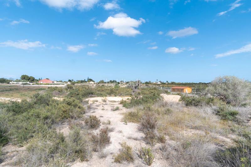 Foto 9c065312-c632-4196-b785-a3cf2567b254. Propriété dans lugar perleta poligono 2 2113 dans Perleta - Maitino Elche / Elx