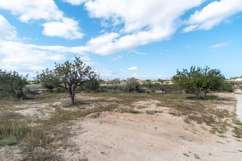 Foto d6829a1f-0684-44f6-b90d-b97776005c91. Propriété dans lugar perleta poligono 2 2113 dans Perleta - Maitino Elche / Elx