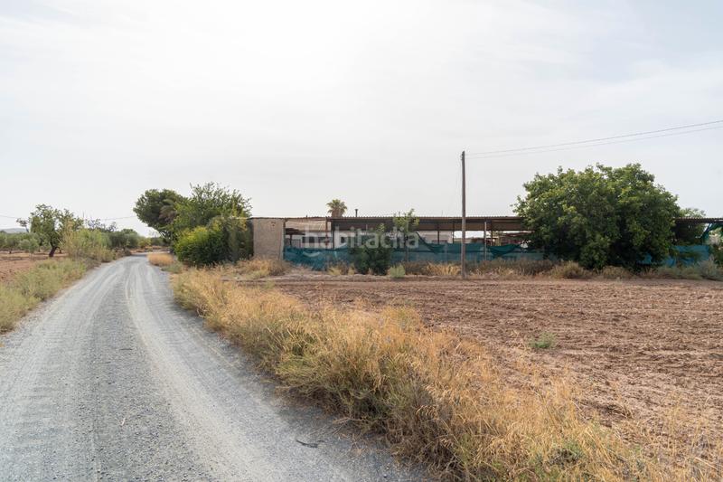 Foto 8f7e6348-9e71-4c98-b7b7-e9230cd4113f. Mas dans n/a dans Jubalcoi Elche / Elx