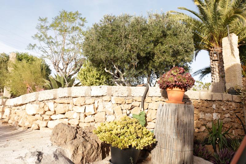Foto e8644789-69df-4192-81be-b85f518418db. Country house with parking pool in San Miguel San Miguel de Abona