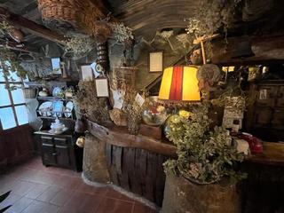 Geschäftsraum  Pablo casals