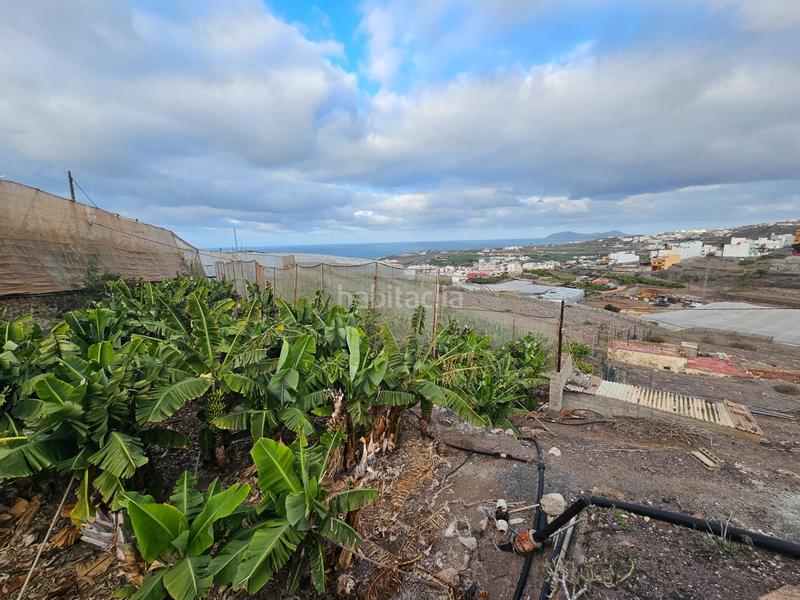 Foto 15c923de-e45d-4404-9214-07e40b7db667. Masía finca rústica en lomo quintanilla, , gran canaria, islas canarias en Arucas