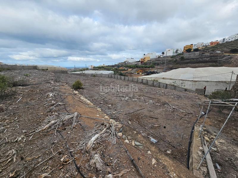 Foto 3f99f5ed-3609-4798-95da-8a12eb01eb42. Masía finca rústica en lomo quintanilla, , gran canaria, islas canarias en Arucas