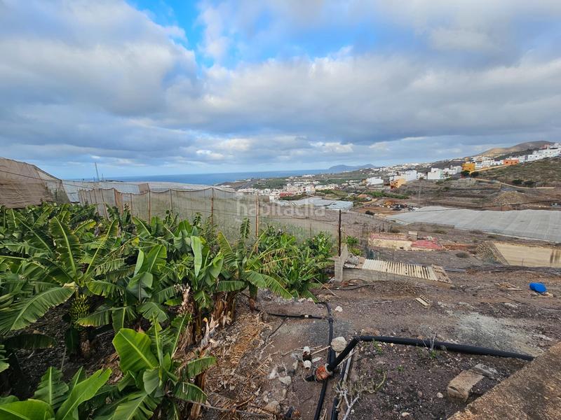 Foto a29e8bdb-b5d1-4fa1-baac-c7b603385340. Masía finca rústica en lomo quintanilla, , gran canaria, islas canarias en Arucas