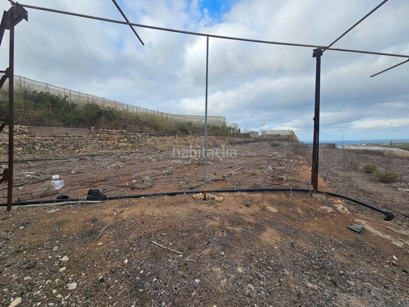 Foto b6e26994-a67f-44cd-aacf-48a36b5b66f3. Masía finca rústica en lomo quintanilla, , gran canaria, islas canarias en Arucas