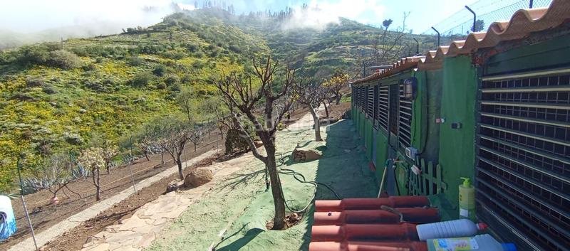 Foto 00db89fe-1d43-45a8-91b0-861b1047a940. Casa in carretera carretera hacia la cruz de tejeda 11 in Vega de San Mateo