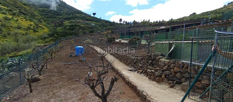 Foto 0e6918df-af35-4a6d-8d16-b50ea3fed2ac. Casa in carretera carretera hacia la cruz de tejeda 11 in Vega de San Mateo