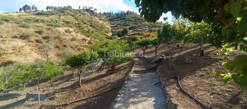 Foto 11364197-7049-45c3-b028-aff2ff7ca5dd. Casa in carretera carretera hacia la cruz de tejeda 11 in Vega de San Mateo
