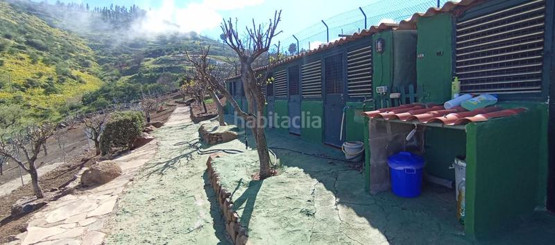 Foto 3ba2a5eb-5ebc-42bd-a0e8-efbcf667a7aa. Casa in carretera carretera hacia la cruz de tejeda 11 in Vega de San Mateo