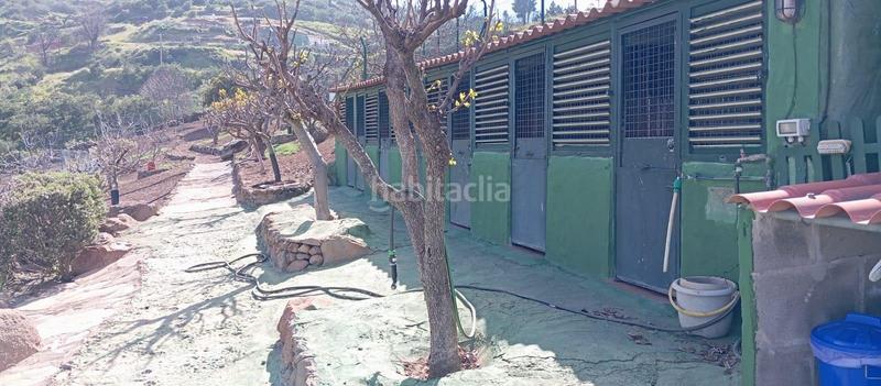 Foto 4d30d80b-5670-4f16-99f0-d760f9587b9b. Casa in carretera carretera hacia la cruz de tejeda 11 in Vega de San Mateo