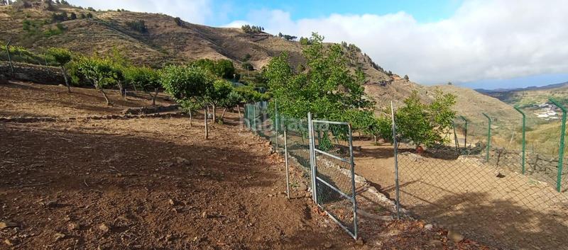 Foto 5a69329d-4282-4c25-85e5-85ecfcc169d0. Casa in carretera carretera hacia la cruz de tejeda 11 in Vega de San Mateo
