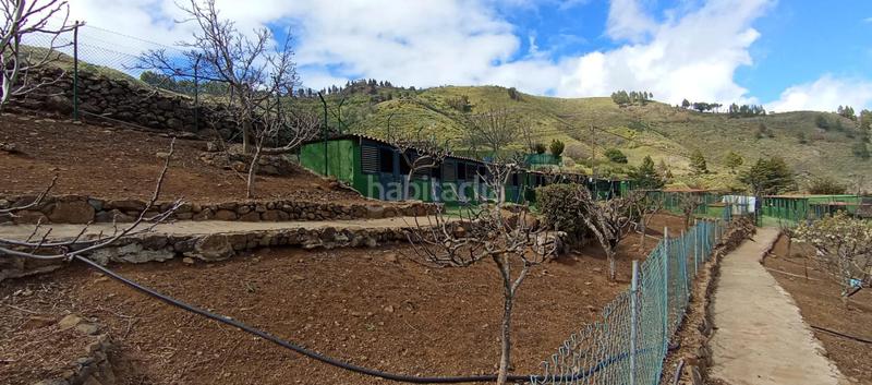 Foto 75e6d894-8cc7-48f3-b4f4-177d837ed1e3. Casa in carretera carretera hacia la cruz de tejeda 11 in Vega de San Mateo