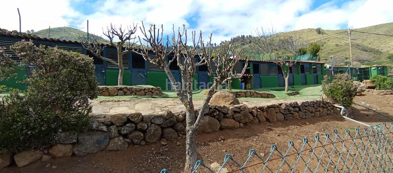 Foto 8548f925-0b07-4760-8bd5-f979309e0b49. Casa in carretera carretera hacia la cruz de tejeda 11 in Vega de San Mateo