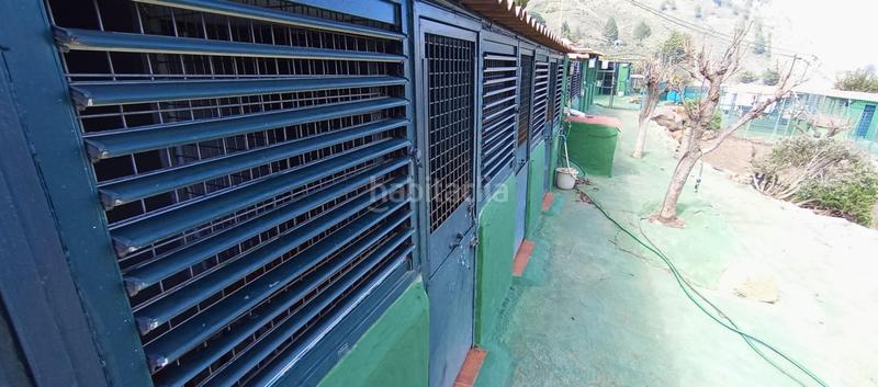 Foto 93c57836-be1f-4c62-b913-15d6f50cecaf. Casa in carretera carretera hacia la cruz de tejeda 11 in Vega de San Mateo