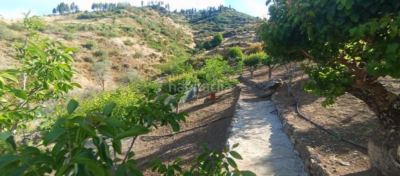 Foto a5f646ba-bbdc-469b-9390-ae5fd9a98a78. Casa in carretera carretera hacia la cruz de tejeda 11 in Vega de San Mateo