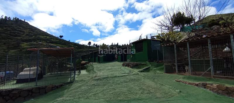 Foto bcfc76fd-da22-4723-9939-946bea19dfae. Casa in carretera carretera hacia la cruz de tejeda 11 in Vega de San Mateo