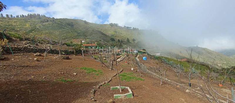 Foto bdca35ab-c99b-4bef-b291-a9caf7615618. Casa in carretera carretera hacia la cruz de tejeda 11 in Vega de San Mateo