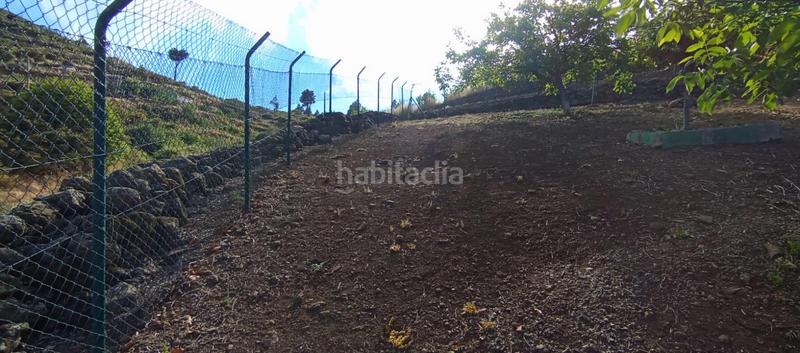 Foto eace18e0-9994-4369-b03d-552025c5516f. Casa in carretera carretera hacia la cruz de tejeda 11 in Vega de San Mateo