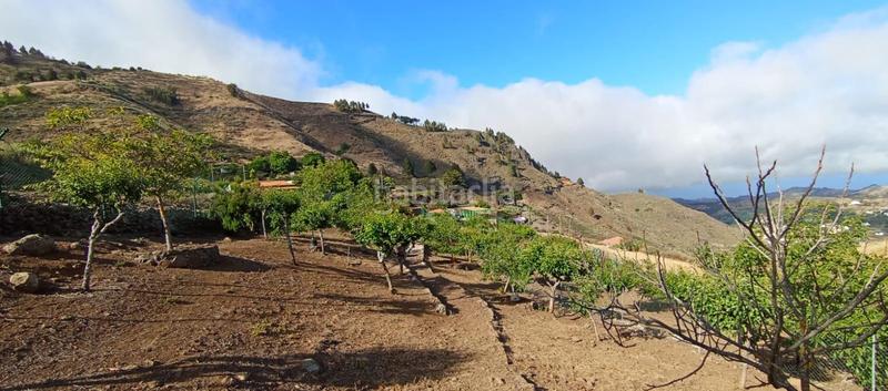 Foto f91dd396-c71b-4599-a1b8-d6bdb48ee2d6. Casa in carretera carretera hacia la cruz de tejeda 11 in Vega de San Mateo