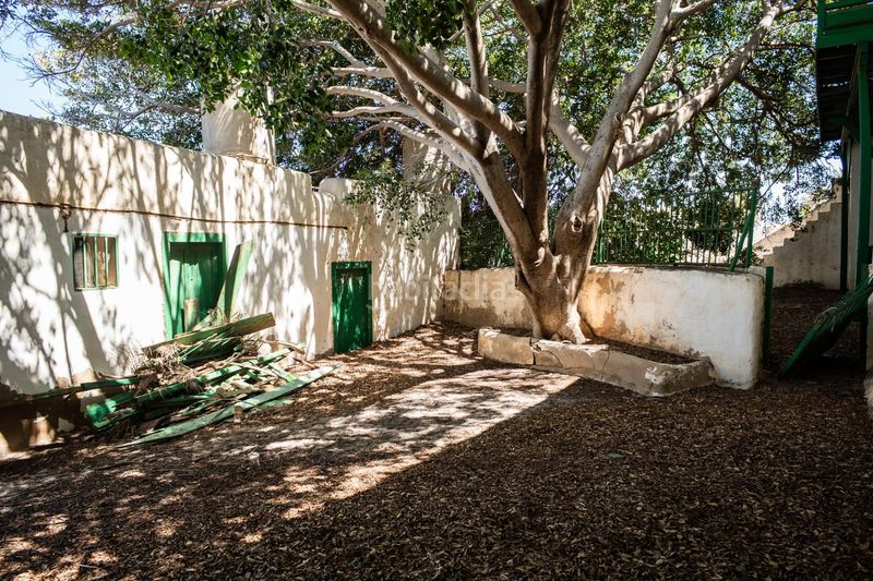 Foto 87c4c1cd-42dc-4aee-8c63-0bd7dfdea92d. Country house in calle calle poeta juan nuez 19 in Ingenio